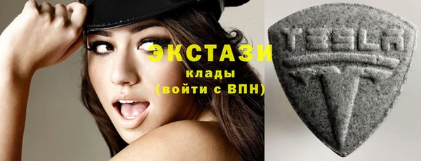 индика Осинники