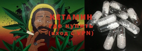 индика Осинники