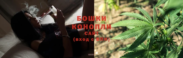 индика Осинники