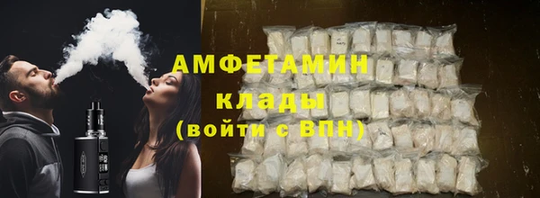 индика Осинники
