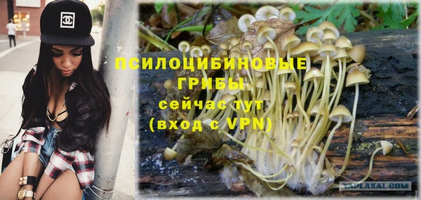 ALPHA-PVP Няндома