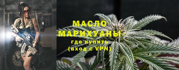 индика Осинники