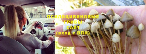 a pvp Осташков