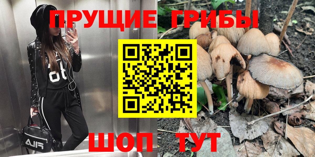 Нижний Тагил  Псилоцибиновые грибы ЛСД  Вход с VPN  Псилоцибиновые грибы Psilocybine cubensis 